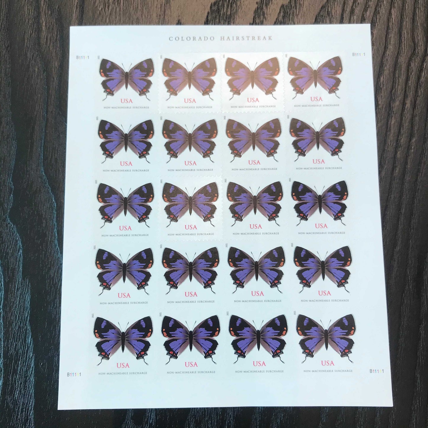 Colorado Hairstreak / Barn Ming