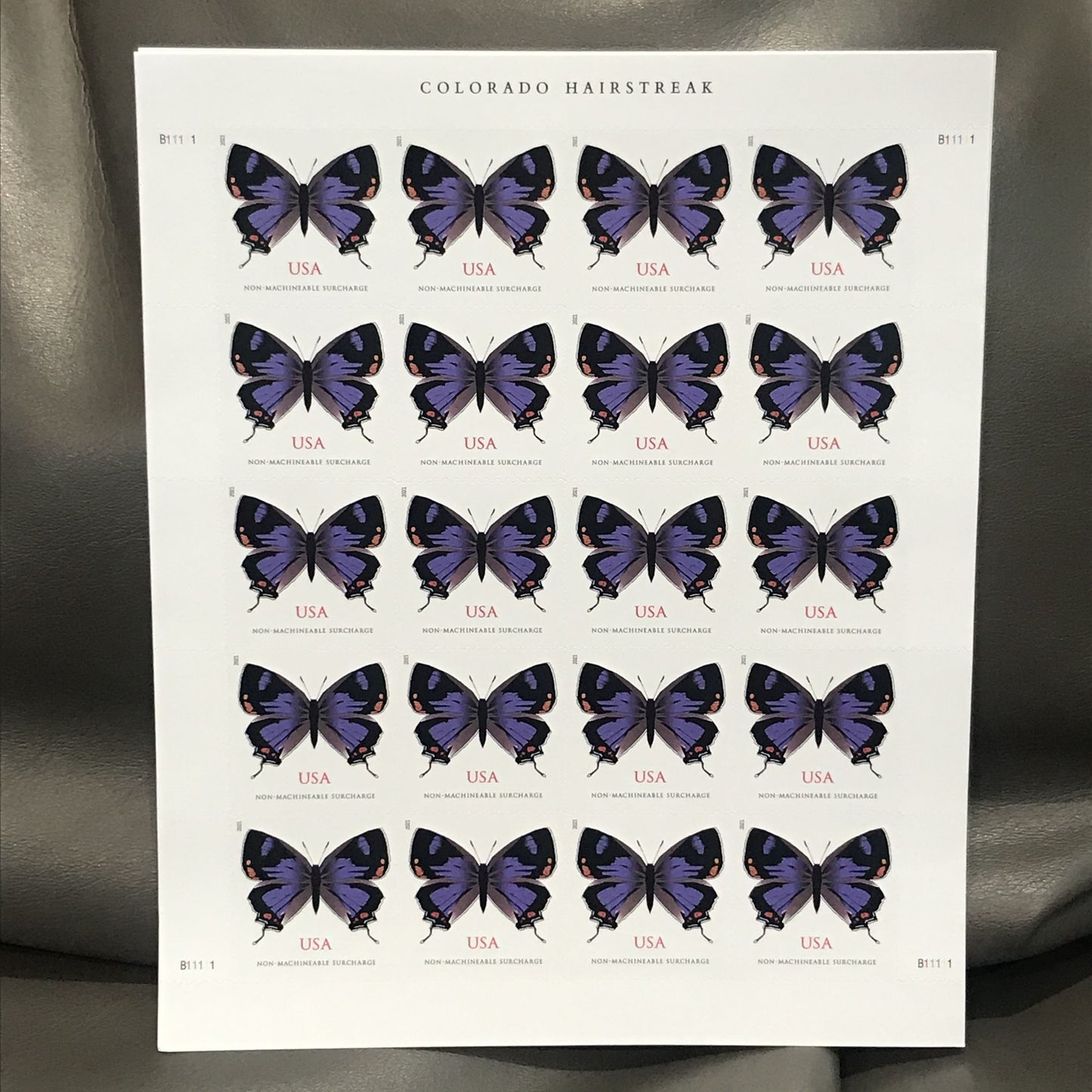 Colorado Hairstreak / Florentine Madonna and Child