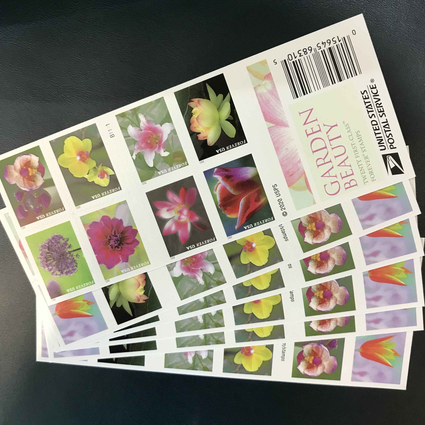 Christmas Seasonal Holiday Wreaths / Garden Beauty