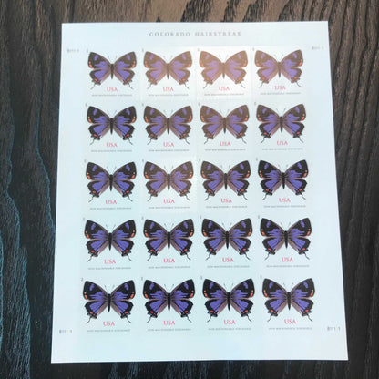 Colorado Hairstreak  / Barn Ming