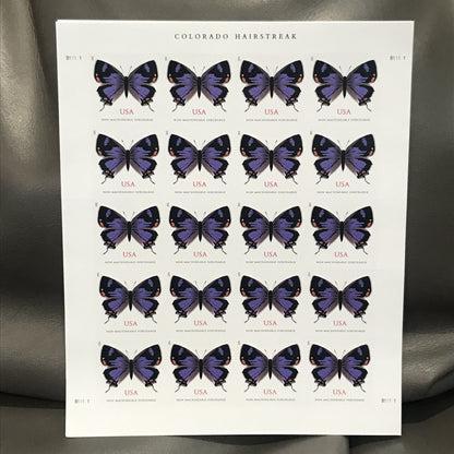 Colorado Hairstreak  / Florentine Madonna and Child