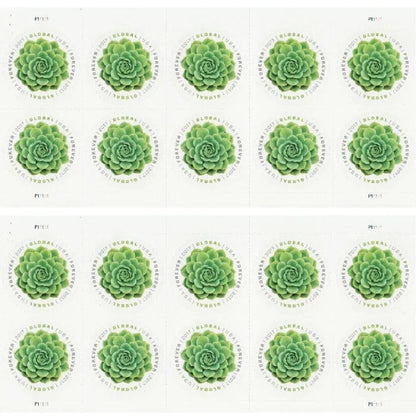 2017 Global Green Succulent